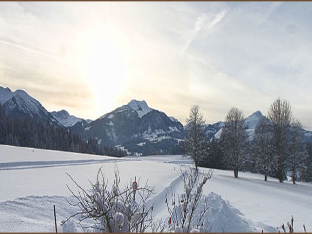 Pension Schneeglöckerl